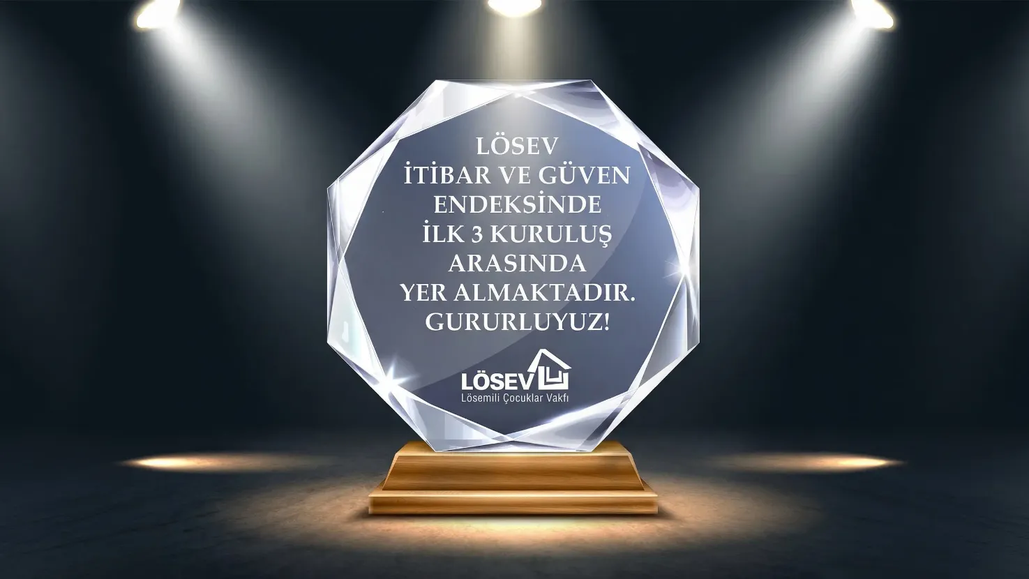 LÖSEV’in Türkiye İtibar Endeksi 2014 araştırmasında Türkiye’nin en itibarlı 10 markası arasında yer aldığını gösteren ödül görseli