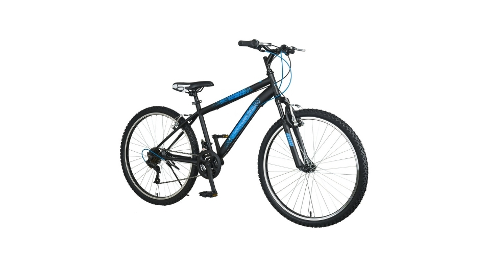 Two-Wheeled Bicycle Image