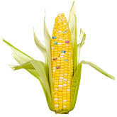 Medical Library Image