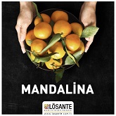 Medical Library Image