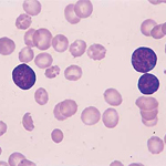 Medical Library Image