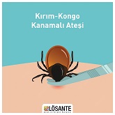 Medical Library Image