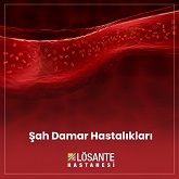 Medical Library Image