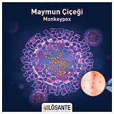 Medical Library Image