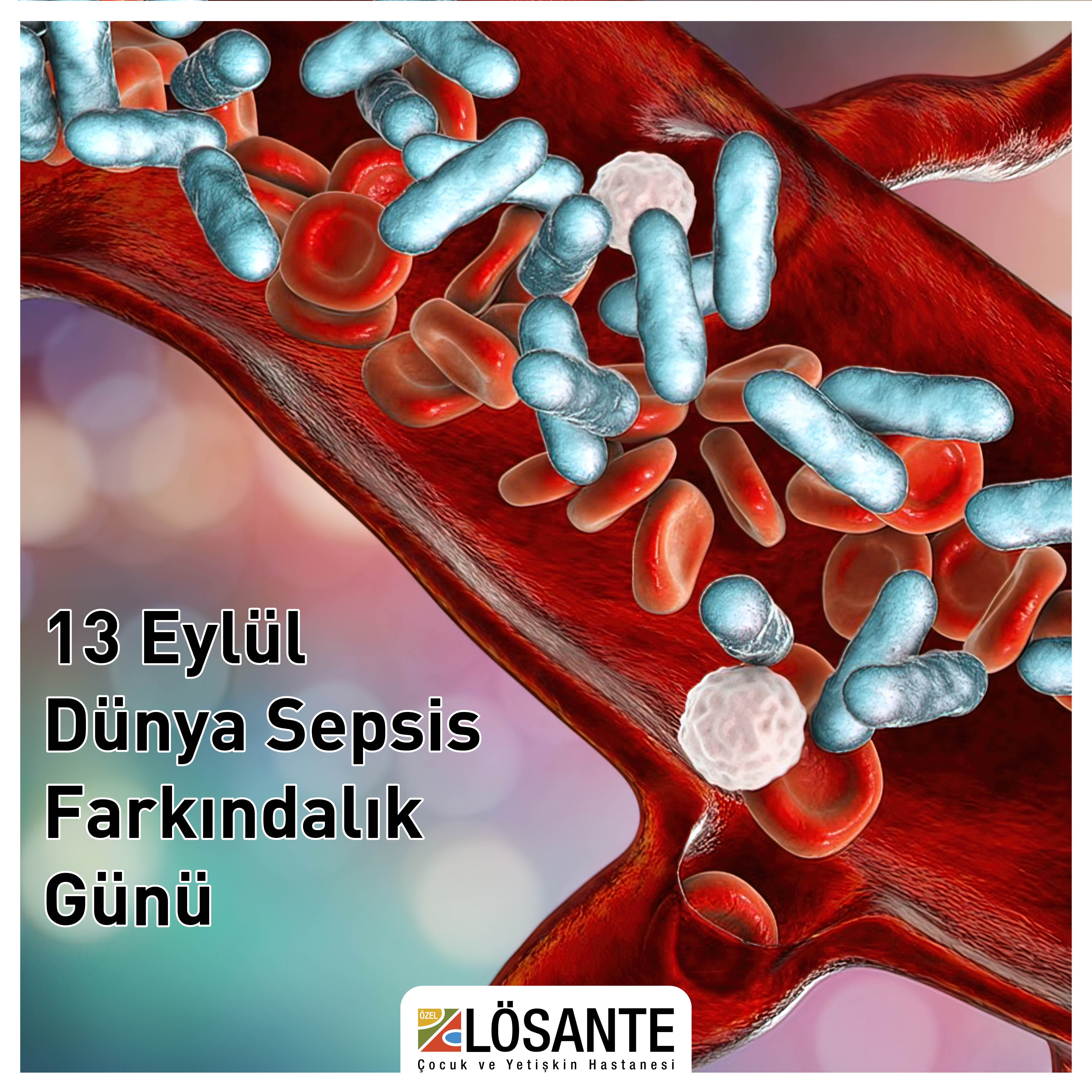 Medical Library Image