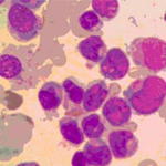 Medical Library Image