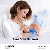 Medical Library Image