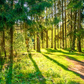 Medical Library Image