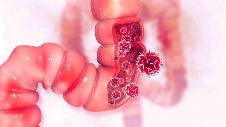 Medical Library Image