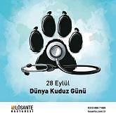 Medical Library Image