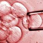 Medical Library Image