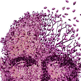 Medical Library Image