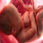 Medical Library Image