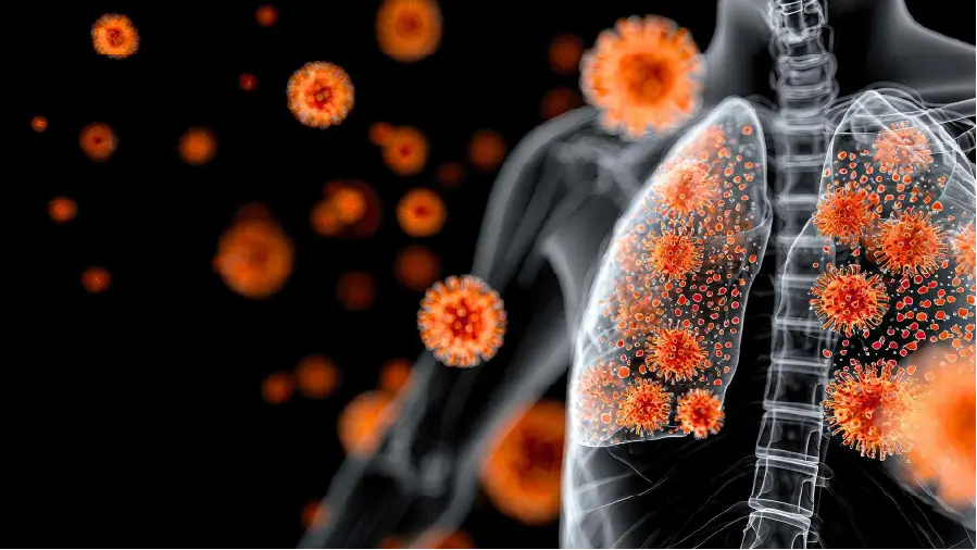 LÖSANTE Hastanesi KBB Uzmanı Dr. Gökçen Cesur’un RSV yazısı için akciğerleri gösteren solunum sistemi görseli